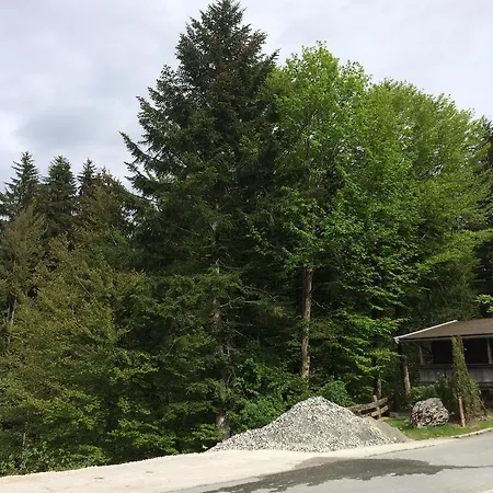 Wieser * Fieberbrunn