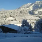 Wieser Fieberbrunn